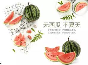 吃瓜--大赛每日芋圆呀呀吃瓜 瓜老师 社会热点插画,瓜老师带你领略社会热点插画风采