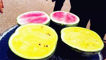 52爆料吃瓜网,揭秘娱乐圈最新热点事件